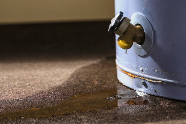 Best Commercial water damage restoration  in Scow Mills, MO