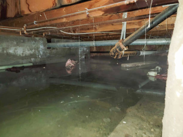 Best Residential water damage restoration  in Scow Mills, MO
