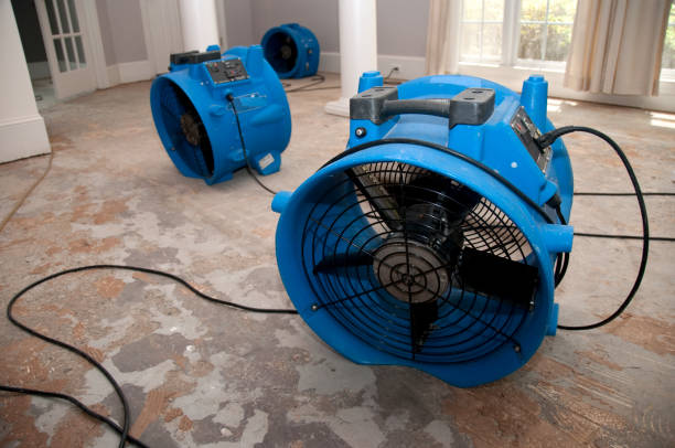 Best Flooded house restoration  in Scow Mills, MO