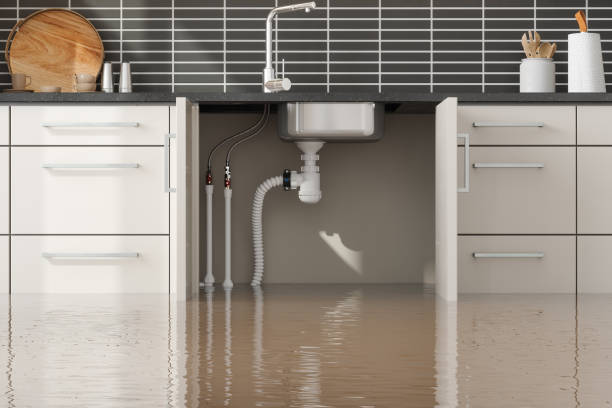 Best 24-hour water damage restoration  in Scow Mills, MO