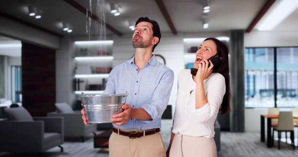 Best Water damage cleanup near me  in Scow Mills, MO