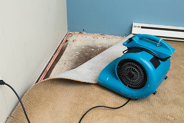 Best Water damage restoration near me  in Scow Mills, MO